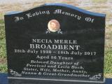 image of grave number 916359